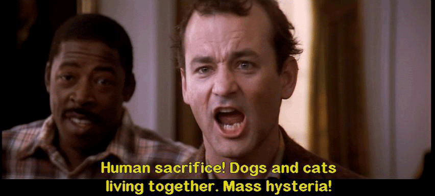 Venkman Dogs And Cats Living Together Venkman Dogs And Cats Living Together